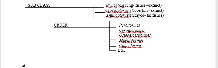 TAXONOMIC HIERACHY 3