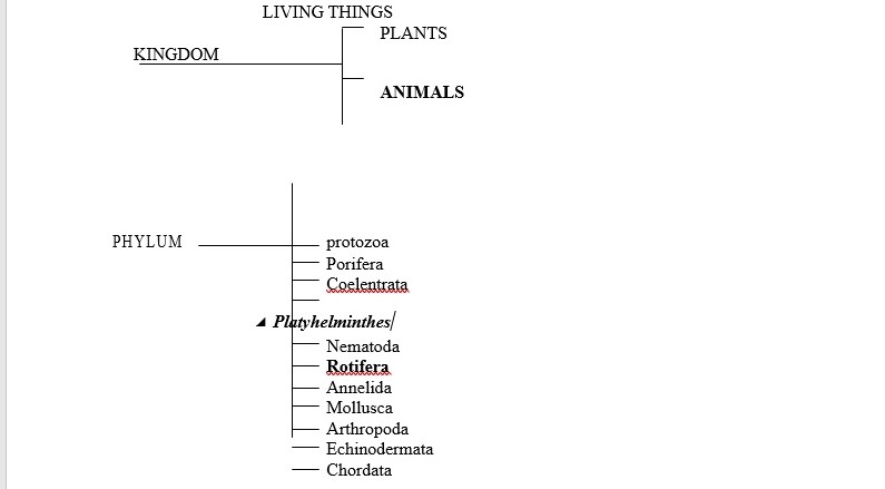 TAXONOMIC HIERACHY